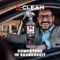 Auto Innen Reiniger 500ml